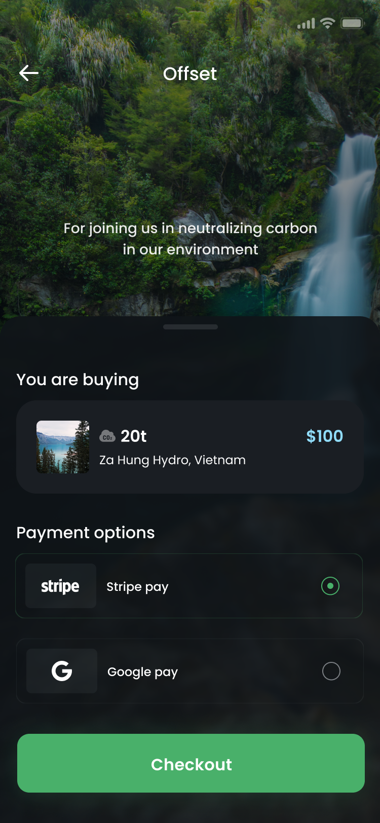 Step 4: checkout screen with payment options
